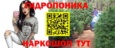 стаф Нарткала