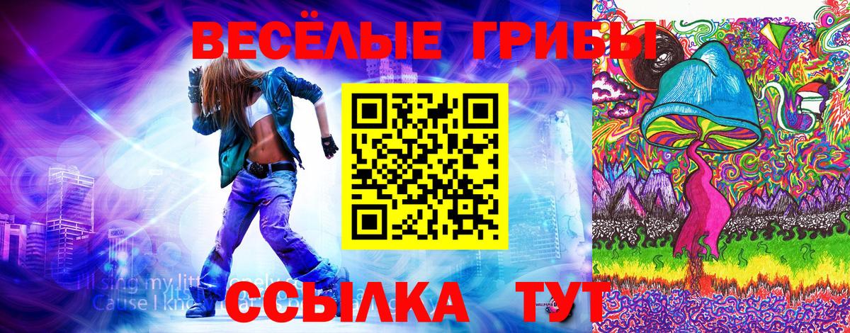 Галлюциногенные грибы Psilocybine cubensis  Вход с VPN  Шали 