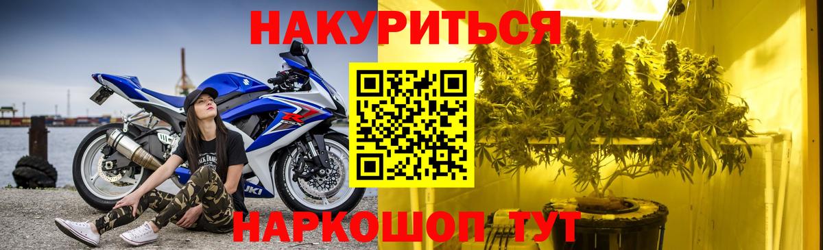 Каннабис индика Шали